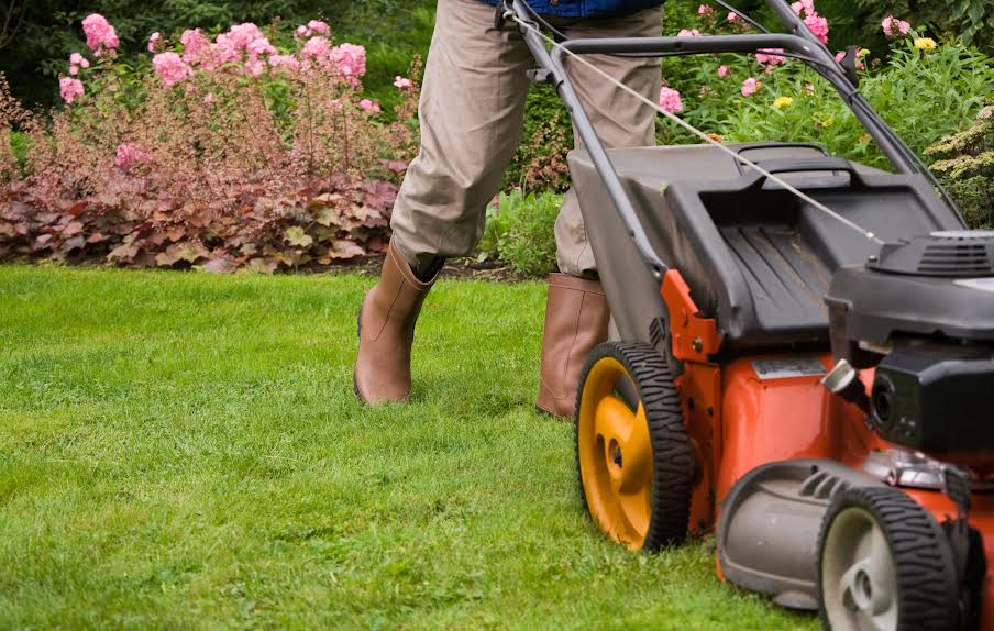 Person mowing their lawn with a push mower