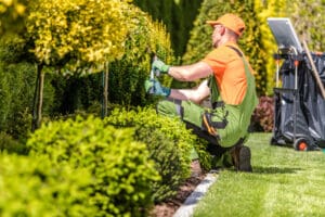 Man trimming trees in a backyard
