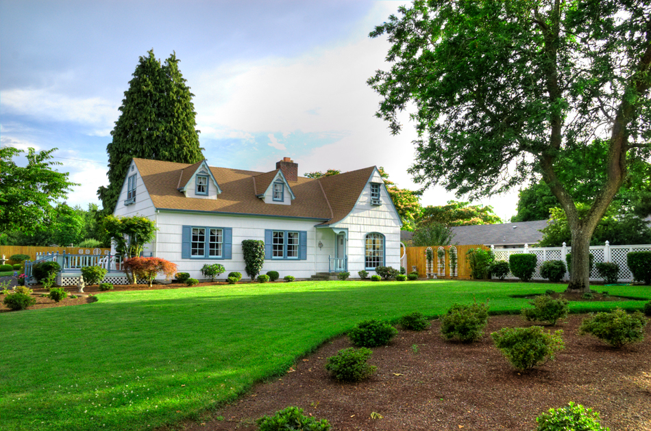 Family home with tree