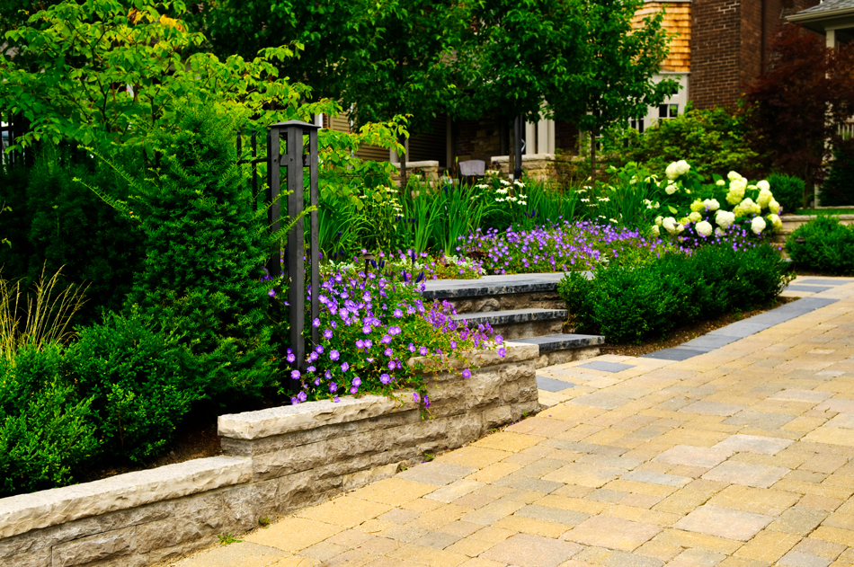 Beautiful hardscaped backyard